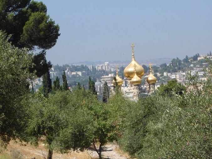 Le jardins des oliviers - Pèlerinage Terre Sainte
