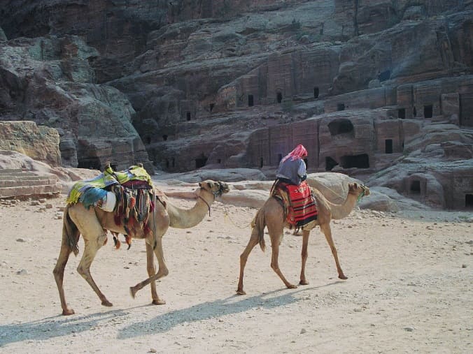 Bédouin avec son chameau - Pèlerinage en Terre Sainte