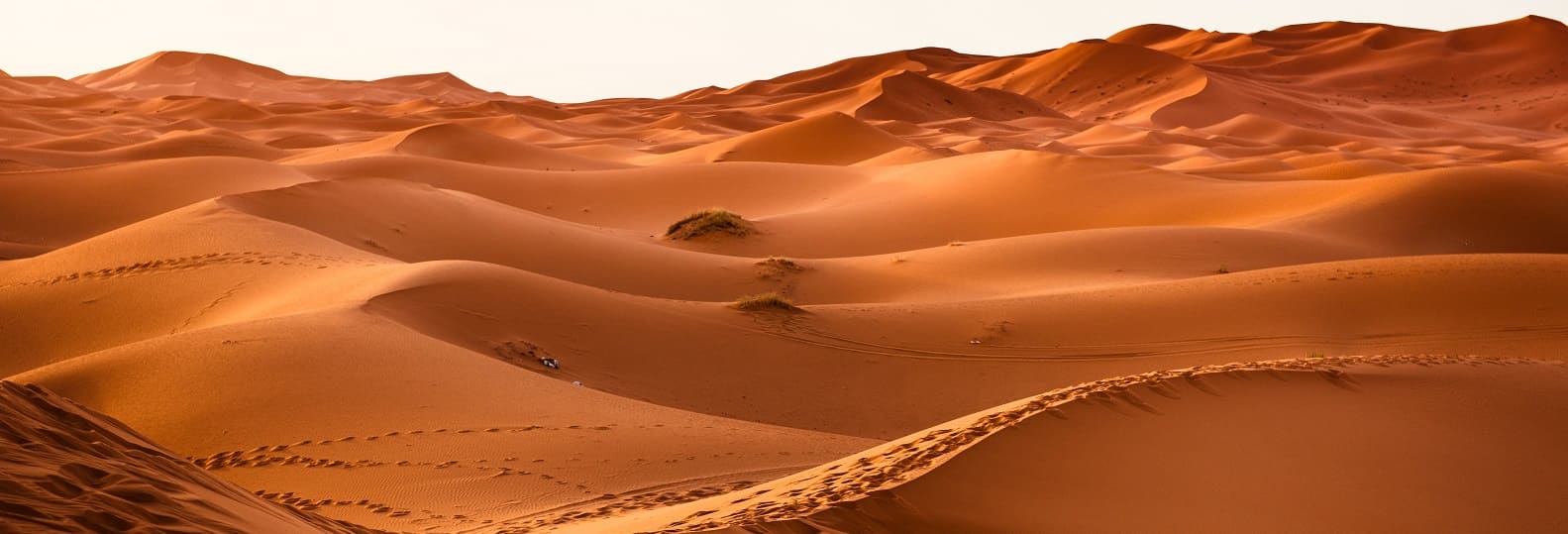 dune de sable dans le sahara marocain randonnée 